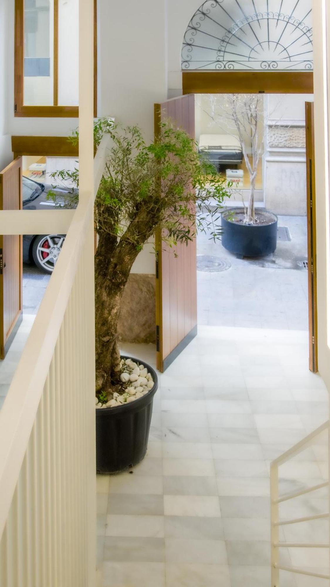 Catalina Suites Apartments Downtown Valence Extérieur photo